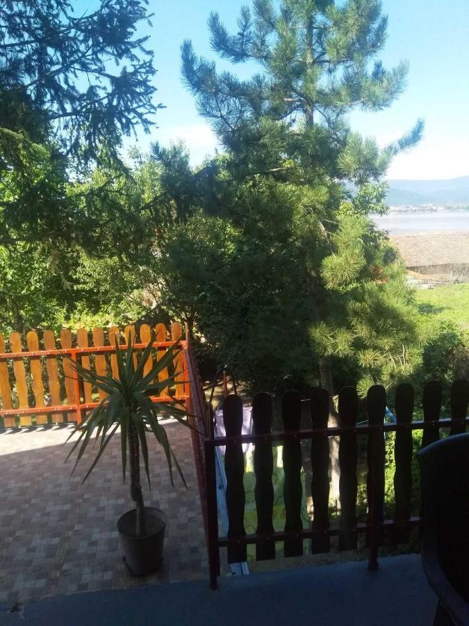 Family Apartman Ana - Star Golubac Ngoại thất bức ảnh