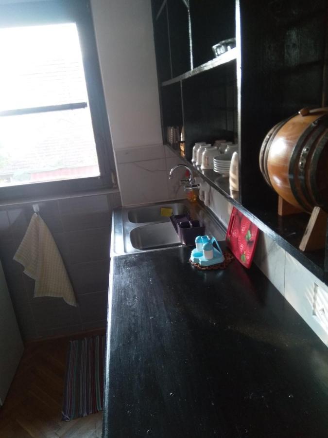 Family Apartman Ana - Star Golubac Ngoại thất bức ảnh