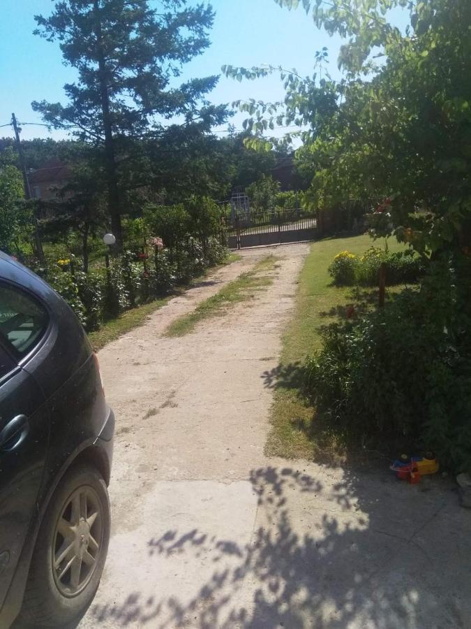 Family Apartman Ana - Star Golubac Ngoại thất bức ảnh