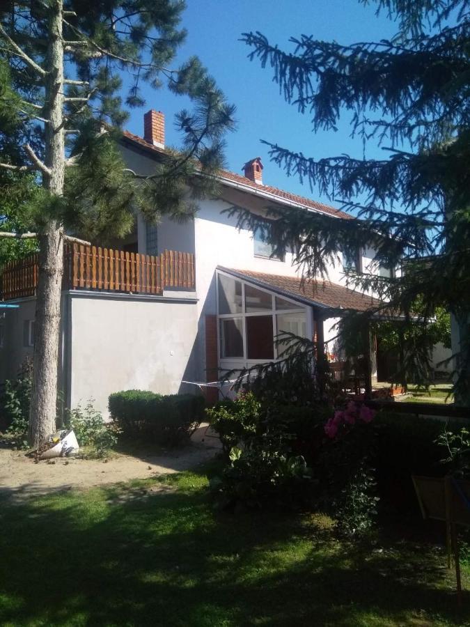 Family Apartman Ana - Star Golubac Ngoại thất bức ảnh