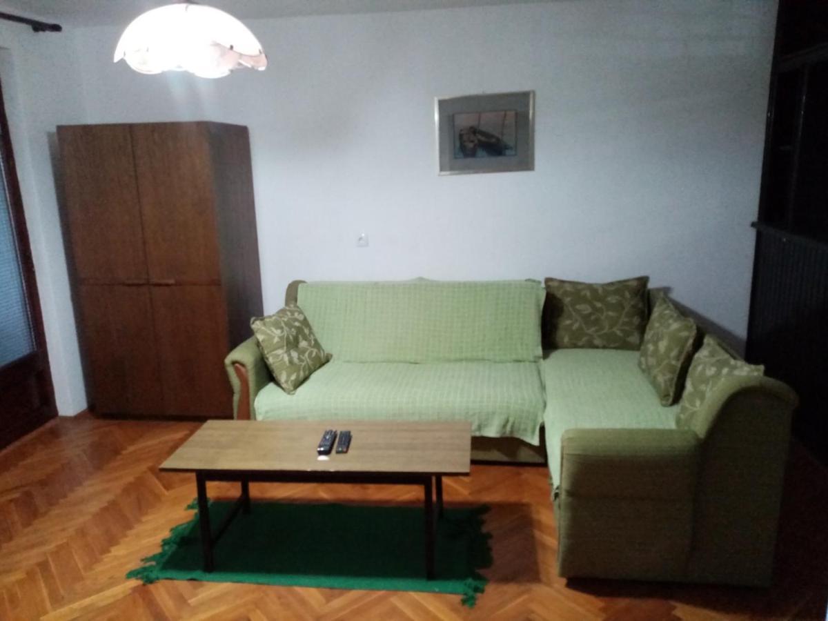 Family Apartman Ana - Star Golubac Ngoại thất bức ảnh