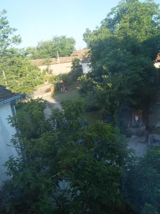 Family Apartman Ana - Star Golubac Ngoại thất bức ảnh