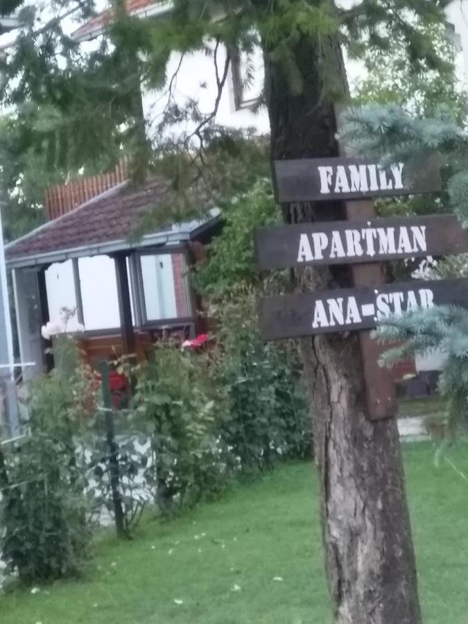 Family Apartman Ana - Star Golubac Ngoại thất bức ảnh